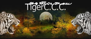 Logo Tiger Renovación CAP Online